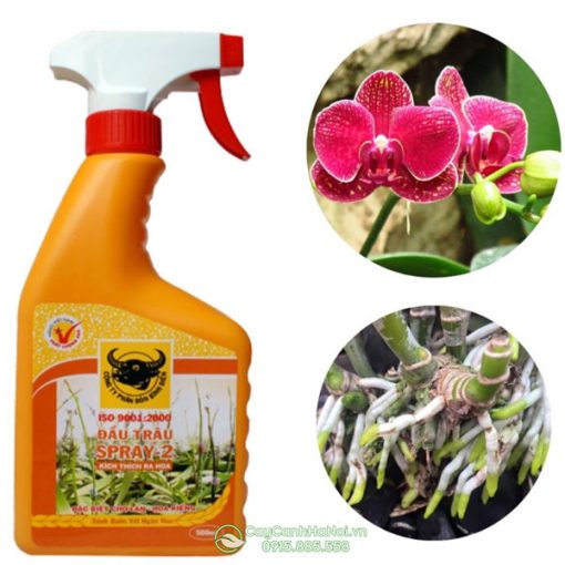 Phân bón đầu trâu Spray 2 kích hoa, kích rể