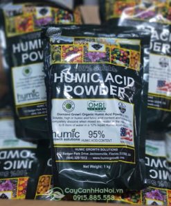 Phân humic acid powder được nhập khẩu từ Mỹ