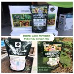 Phân Hữu Cơ Humic Acid Powder Mỹ