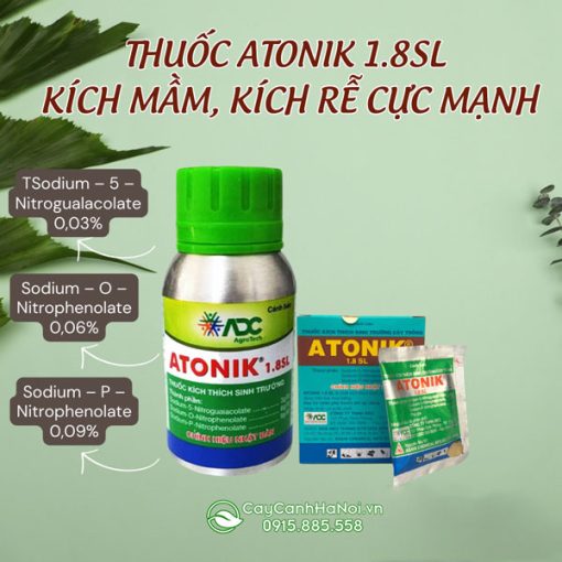 Thành phần thuốc Atonuk kích mầm, kích rễ