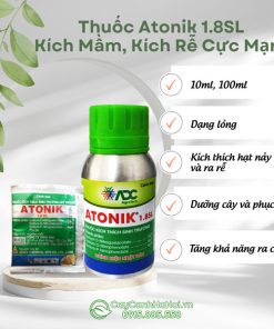 Thuốc Atonik kích thích sinh trường cây trồng