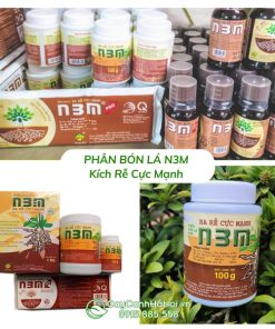 Phân Bón Lá Kích Rễ N3M