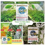 Thuốc Trừ Nấm Bệnh COC 85 Bảo Vệ Cây Trồng