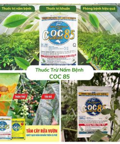 Thuốc trừ nấm bệnh COC 85