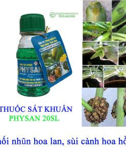 Physan 20SL có tác dụng diệt khuẩn chỉ trong 9 giây