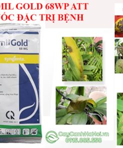 Ridomil Gold 68 WG thuốc trị nấm bệnh cho cây trồng