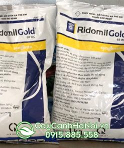 Bán Ridomil Gold 68 WG loại 1 kg tại Hà Nội