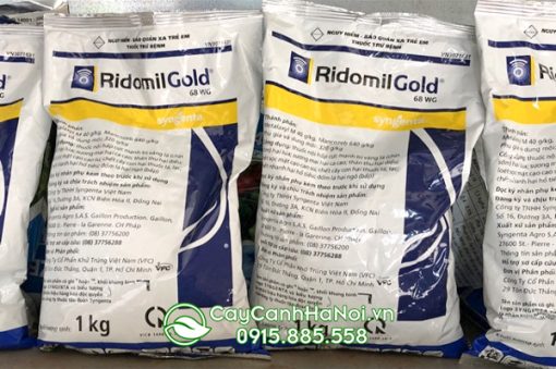 Bán Ridomil Gold 68 WG loại 1 kg tại Hà Nội