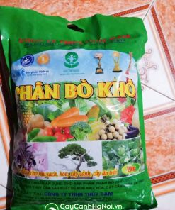 Bán phân bò khô gói 3 kg Thủy Cam