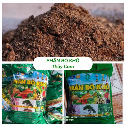 Bán phân bò khô Thủy Cam tại Hà Nội