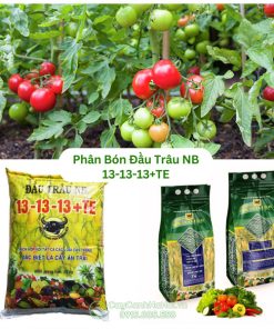 Phân Bón Đầu Trâu NB 13-13-13+TE