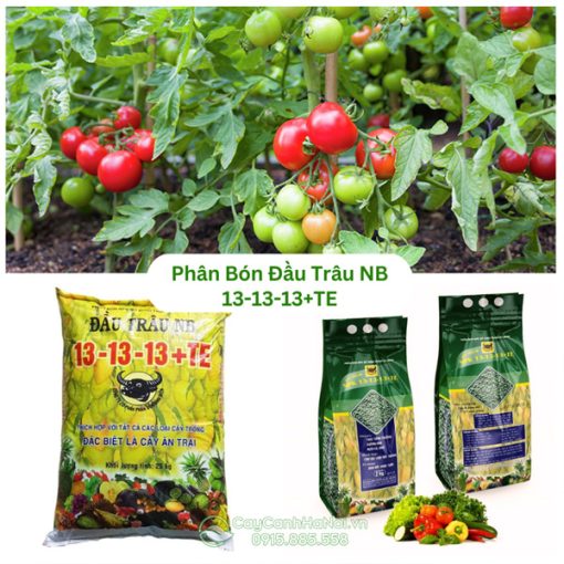 Phân Bón Đầu Trâu NB 13-13-13+TE