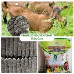 Phân Dê Nguyên Chất Thủy Cam