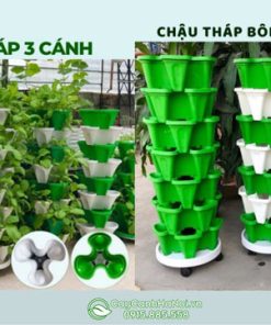 Các dạng chậu nhựa xếp tầng trồng rau