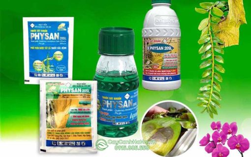 Các loại thuốc Physan 20SL đang có trên thị trường