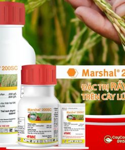 Cách bảo quản marshal 200sc sau khi sử dụng