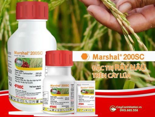 Cách bảo quản marshal 200sc sau khi sử dụng