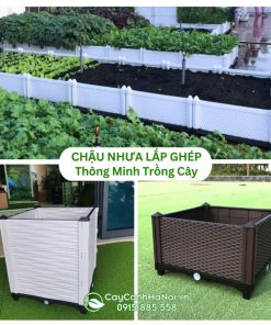 Chậu nhựa lắp ghép thông minh