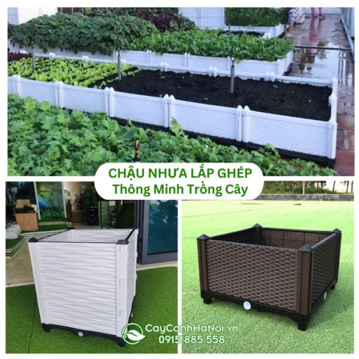 Chậu nhựa lắp ghép thông minh