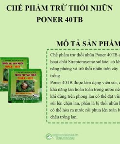 Chế phẩm trị thôi nhũn Poner – 40TB