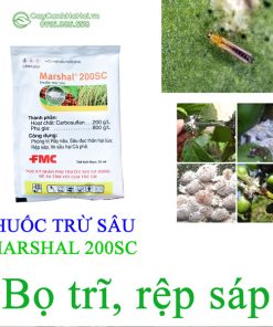 Cửa hàng bán thuốc trừ bọ trĩ, rẹp sáp tại Hà Nội