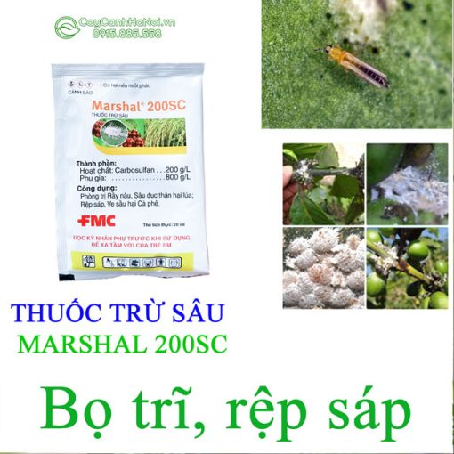 Cửa hàng bán thuốc trừ bọ trĩ, rẹp sáp tại Hà Nội