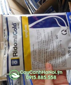 Cửa hàng bán thuốc trừ nấm bệnh cho cây trồng tại Hà Nội