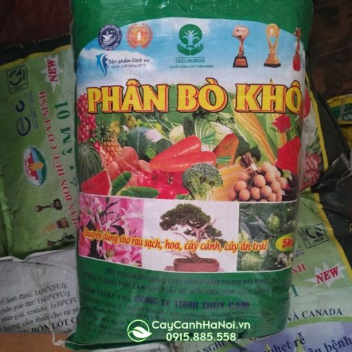 Đặc điểm của phân bò khô đã qua xử lý