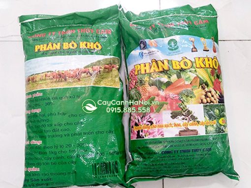 Địa chỉ bán phân bò đã qua xử lý tại Hà Nội