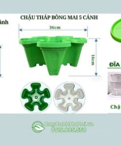 Kích thước chậu xếp tầng trồng rau