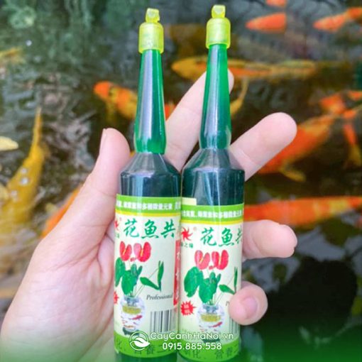 Lọ dung dịch thủy canh Đài Loan loại 38ml