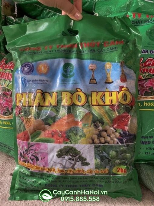 Những lưu ý khi sử dụng phân bò khô