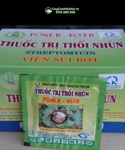 Nơi bán thuốc trị thối nhũn tại Hà Nội