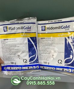 Nơi bán thuốc trừ bênh Ridomil Gold tại Hà Nội