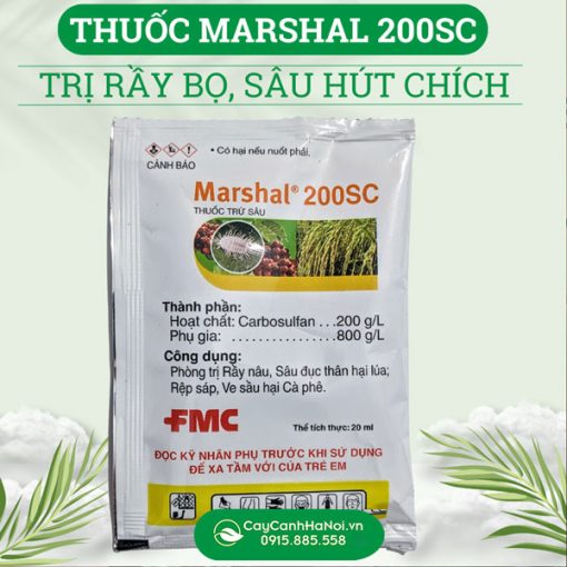 Nơi bán thuốc trừ sâu bệnh trên cây trồng marshal 200sc