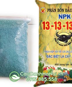 Phân đầu trâu NB dạng túi chiết