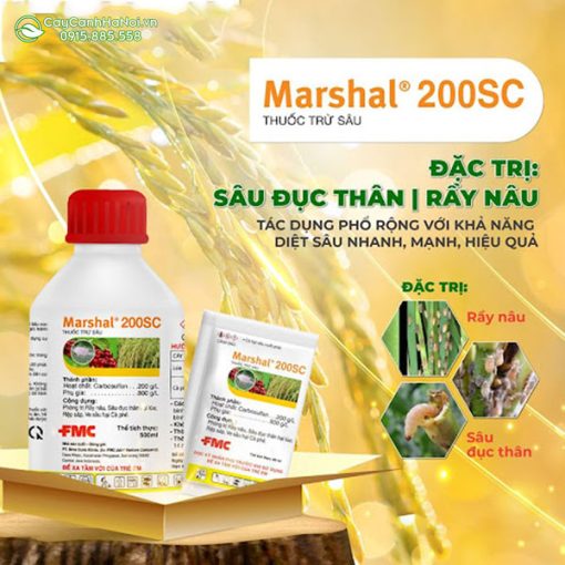 Thuốc đặc trị sâu đực thân Marshal 200SC