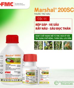 MARSHAL 200SC: ĐẶC TRỊ RỆP SÁP | RẦU NÂU | SÂU ĐỤC THÂN trên cây trồng