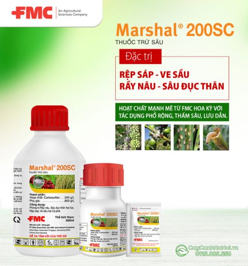 MARSHAL 200SC: ĐẶC TRỊ RỆP SÁP | RẦU NÂU | SÂU ĐỤC THÂN trên cây trồng