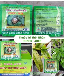 Thuốc Trị Thối Nhũn Poner – 40TB