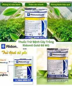 Thuốc Trừ Bệnh Cây Trồng Ridomil Gold 68 WG