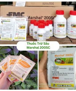 Thuốc trừ sâu Marshal 200SC