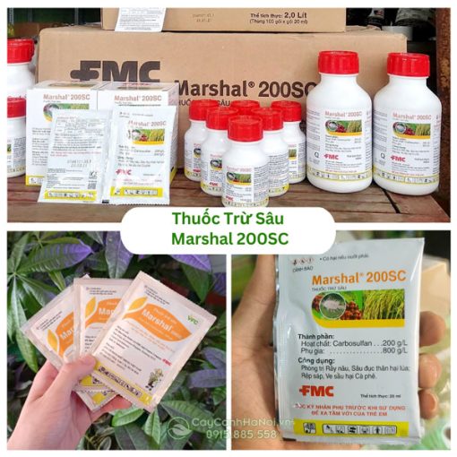 Thuốc trừ sâu Marshal 200SC