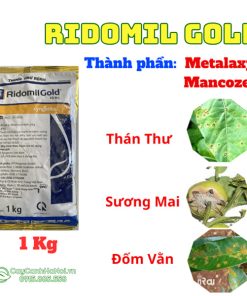 Công dụng thuốc trừ sâu bệnh Ridomil Gold 68 WG