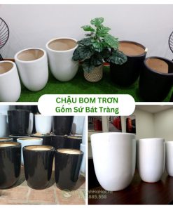 Chậu Bom Trơn Gốm Sứ Bát Tràng