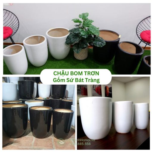 Chậu Bom Trơn Gốm Sứ Bát Tràng