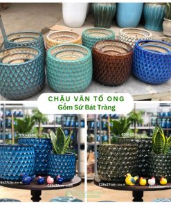 Chậu Tổ Ong Gốm Sứ Bát Tràng