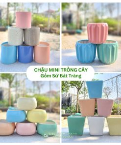 Chậu trồng cây mini gốm Bát Tràng