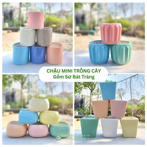 Chậu trồng cây mini gốm Bát Tràng