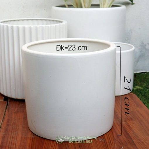 Chậu trụ trắng sứ Bát Tràng DK 23CM